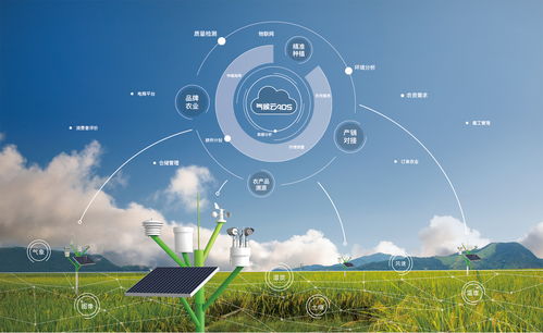 揭秘大氣候 如何用“大氣農(nóng)場(chǎng)”鏈接優(yōu)質(zhì)產(chǎn)區(qū)與2000萬個(gè)家庭